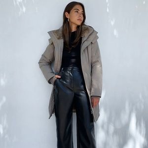 Aritzia The Summit Parka